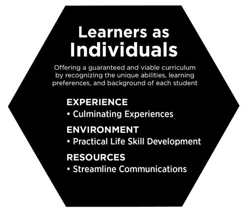 Learners as Individuals
