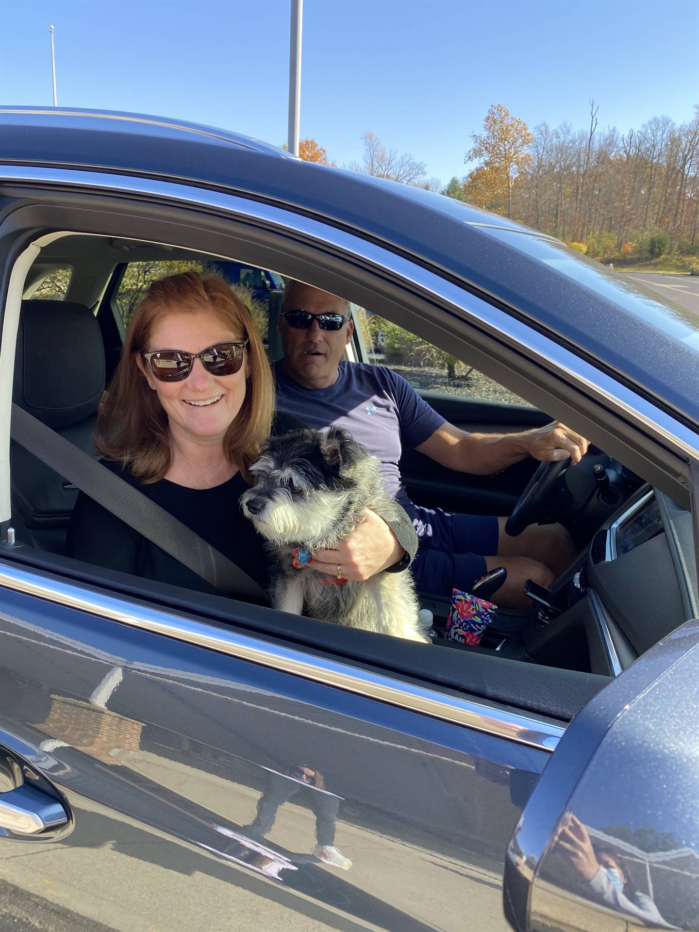 curbside dogs!